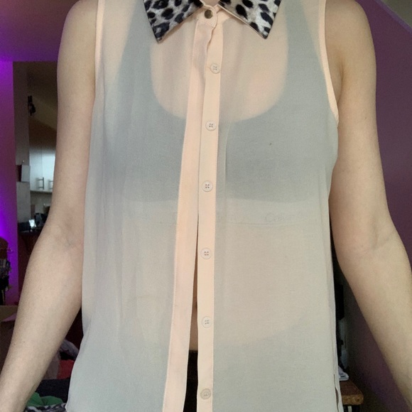 Chloe K Chiffon Velvet Cheetah Polo Collar Blouse - Picture 3 of 4